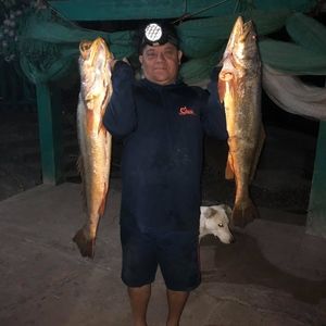 Meet your Posher, Potomac